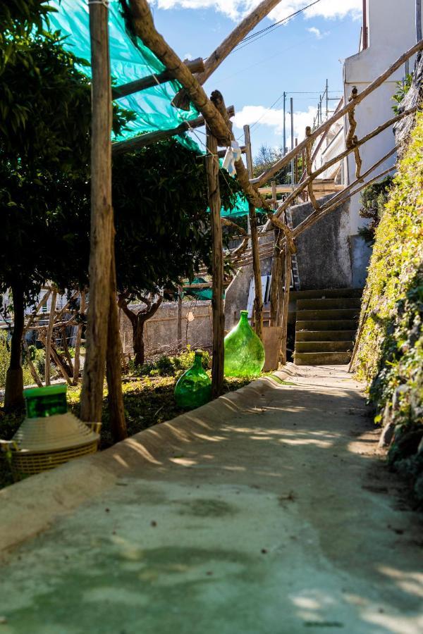 Casa Primula Amalfi Exterior foto